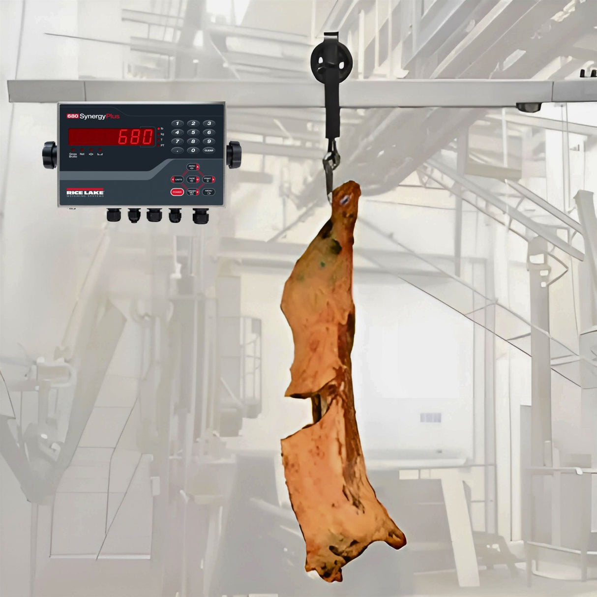 Carcass Weighing Rail Scale