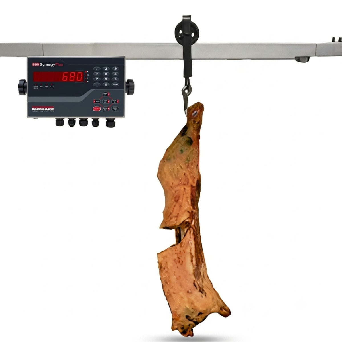 Carcass Weighing Rail Scale