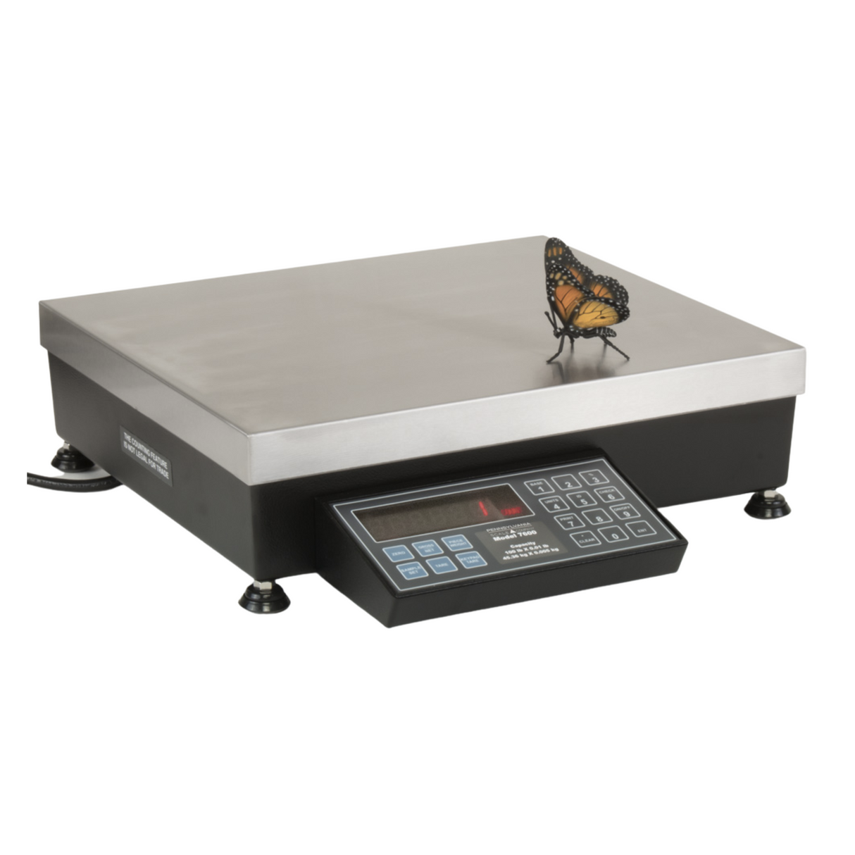 7600 Bench Count and Weigh Scale