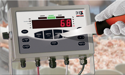 CW-90 and CW-90X Checkweigh Indicator