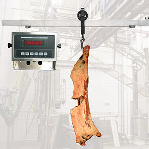 Carcass Weighing Rail Scale – Interweigh Systems Inc.