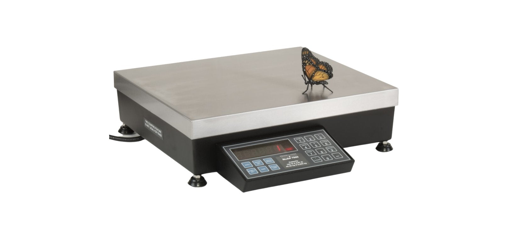 Counting Scales