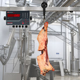 Carcass Weighing Rail Scale