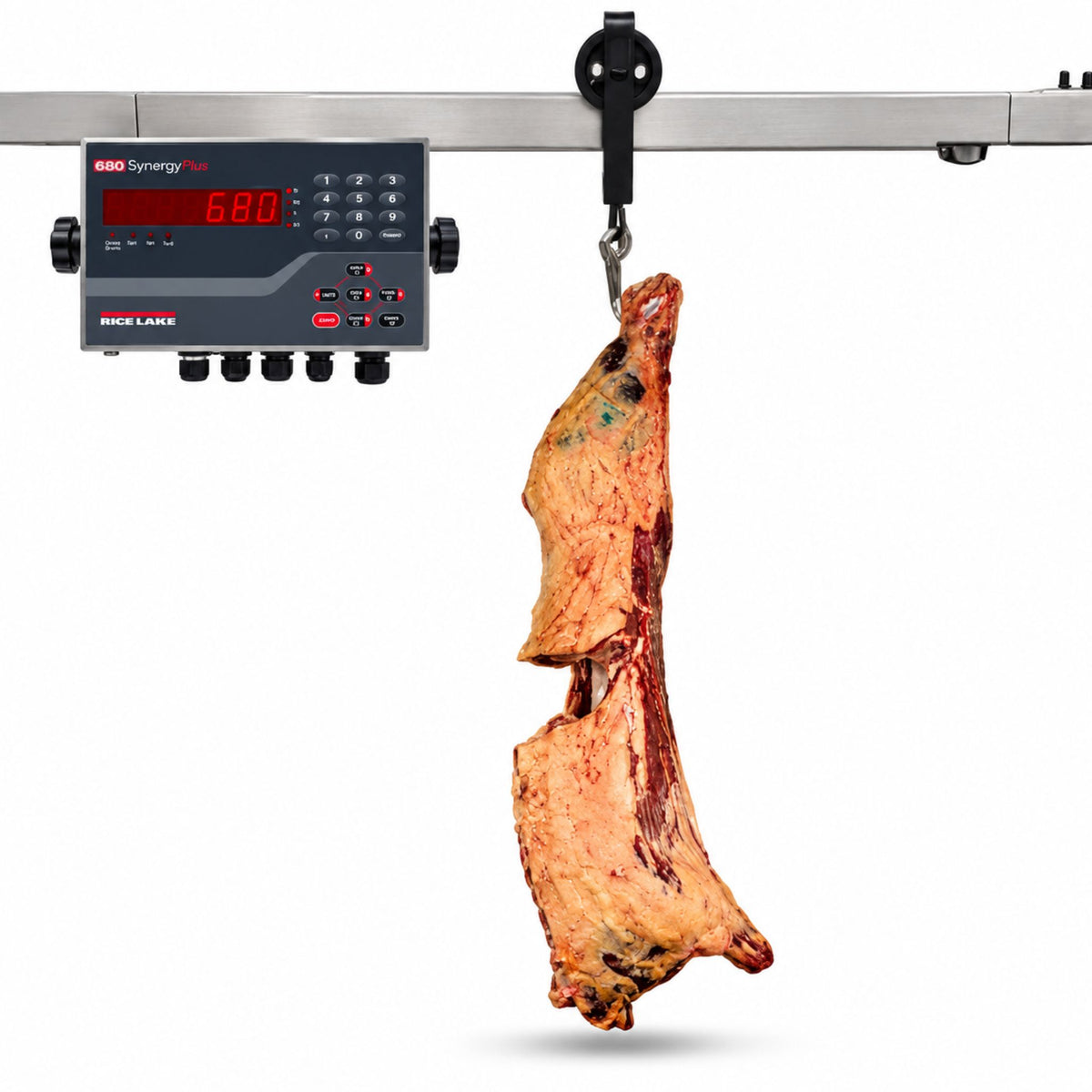 Carcass Weighing Rail Scale