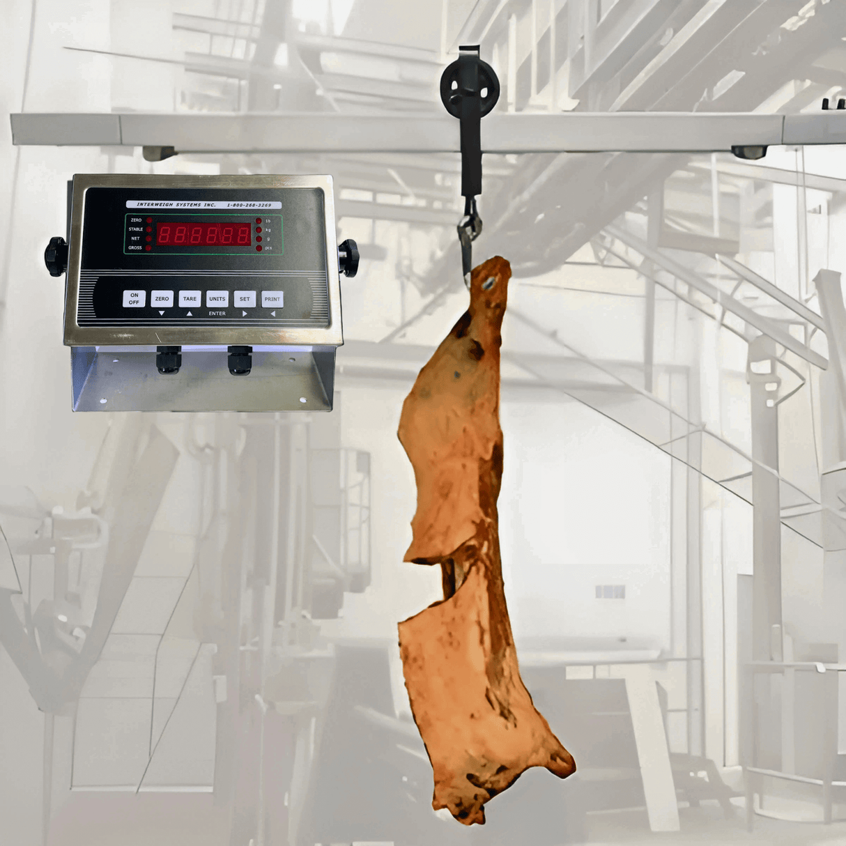 Carcass Weighing Rail Scale